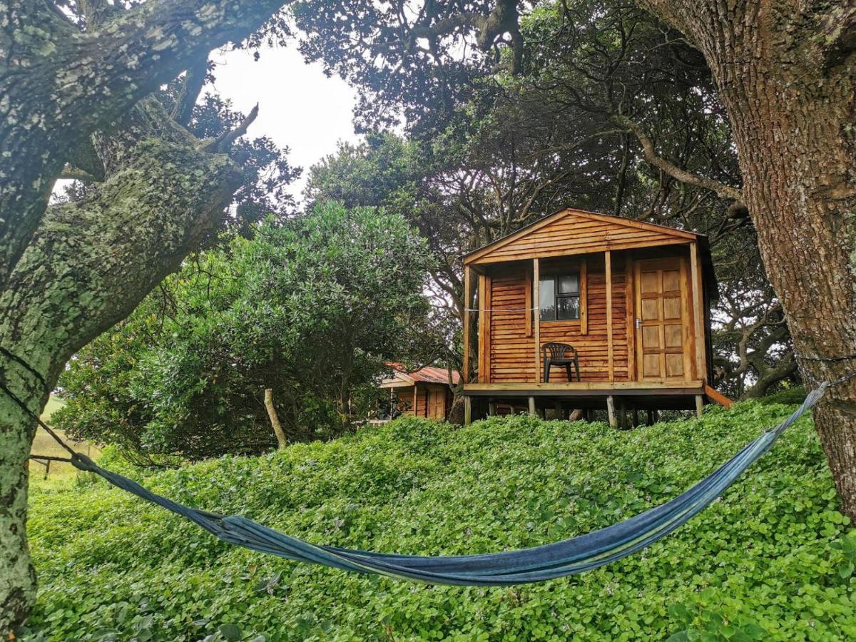 Bulungula Xhosa Community Lodge חדר תמונה